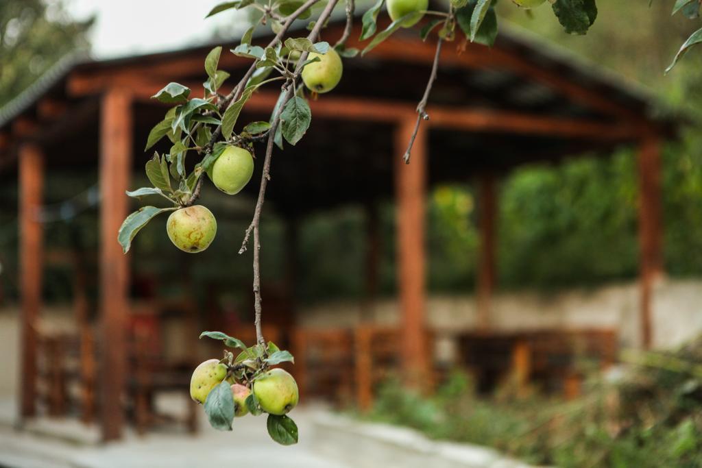 Guest House Dilijan Orran Exterior photo